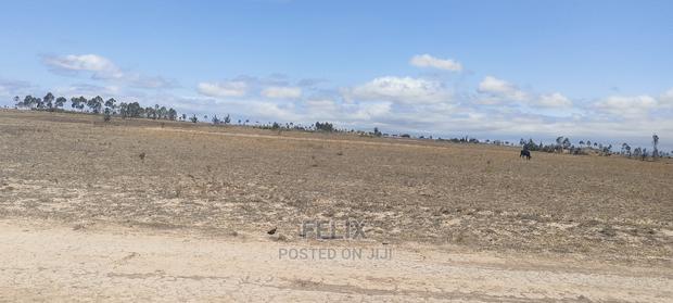 7 Acres Narumoru - thumbnail 11