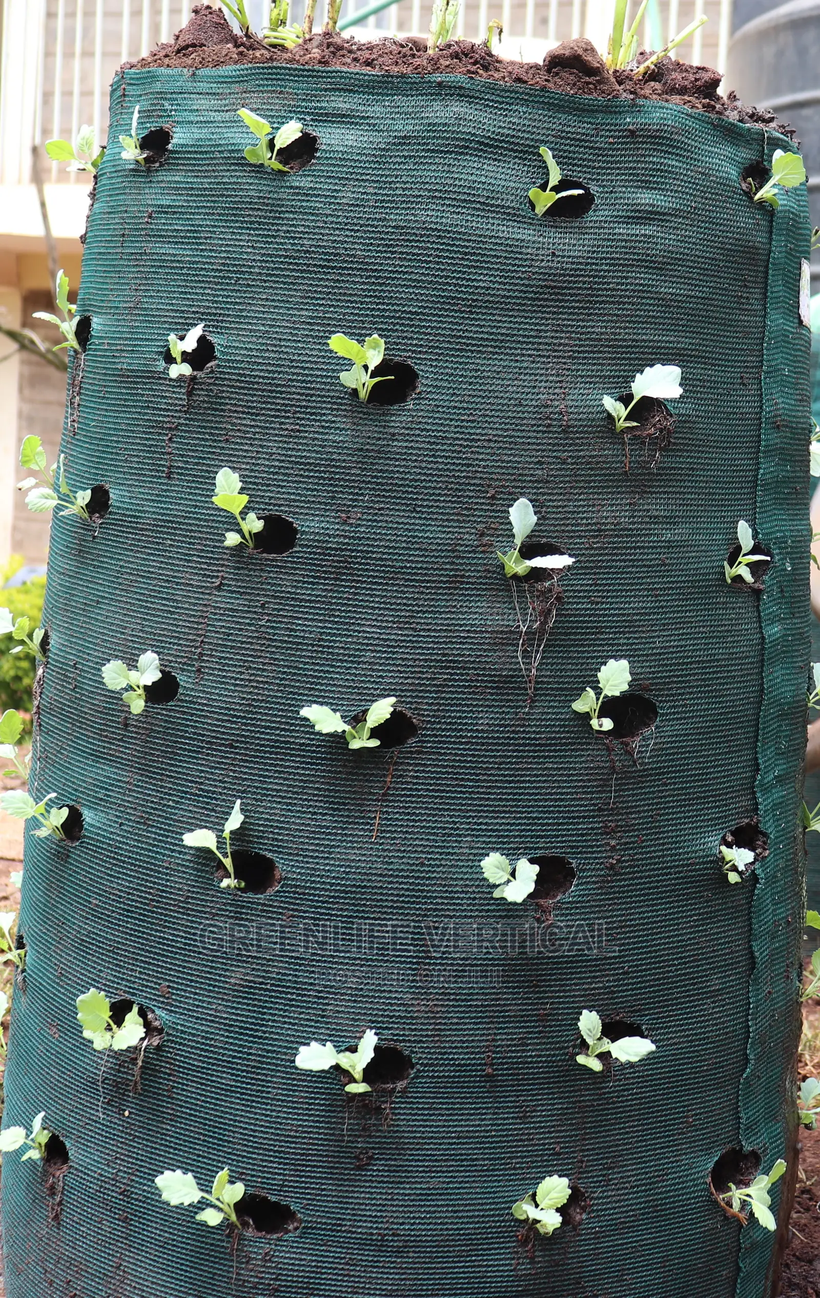 Greenlife Vertical Bags (Kitchen Garden Bags)