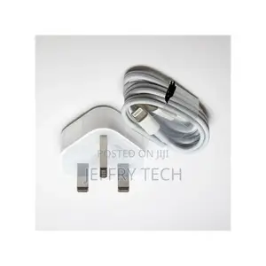 Charger Head and Cord for iPhones - White