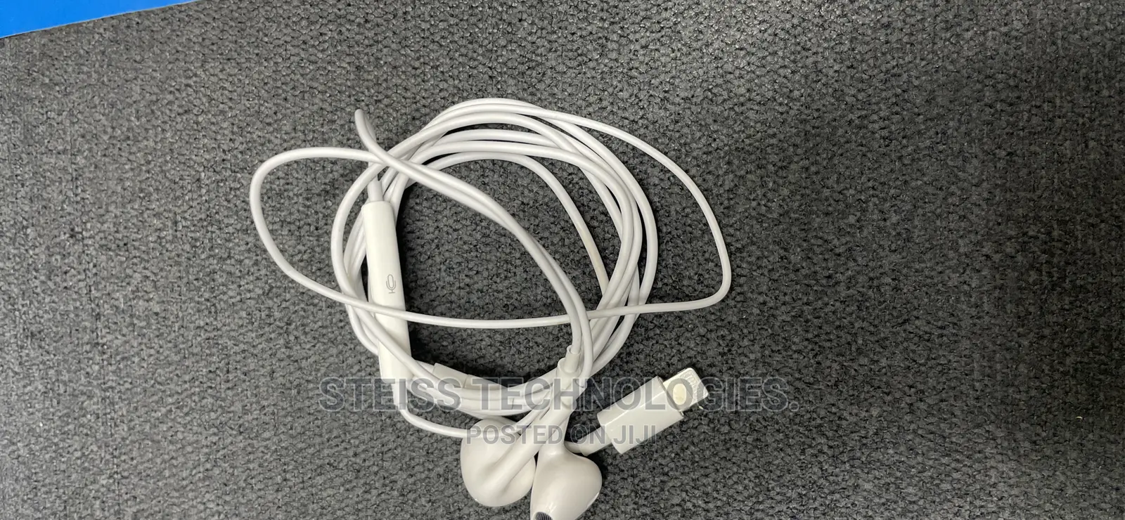 iPhone 12 Earphones.