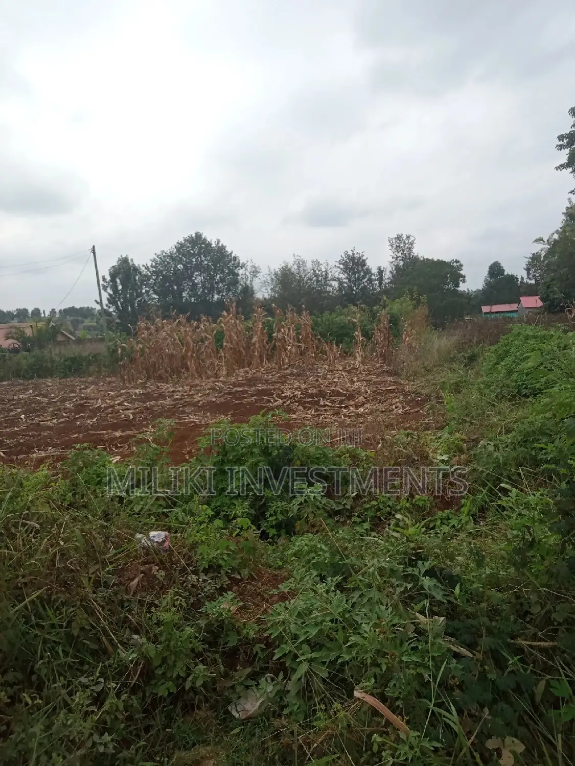 Commercial Plot on Sale at Kenol