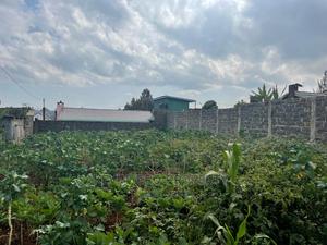 Plot for Sale in Limuru, Karanjee. - thumbnail 2