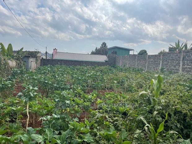 Plot for Sale in Limuru, Karanjee. - thumbnail 3