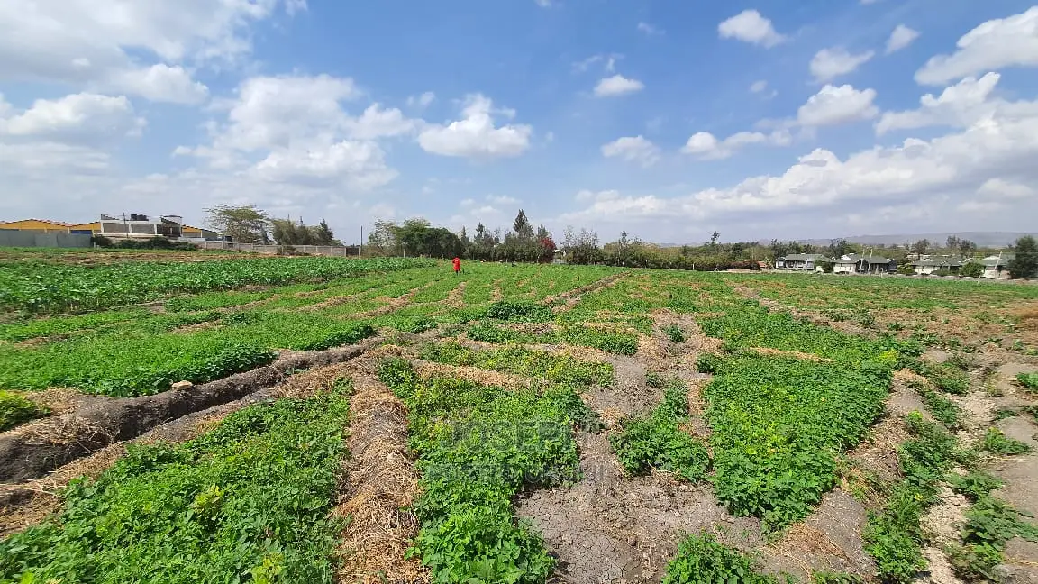 Athi River 10acre Near Graceland River Park Estates