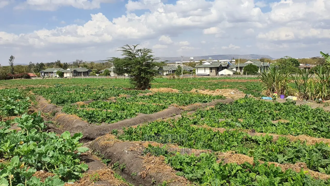 Athi River 10acre Near Graceland River Park Estates