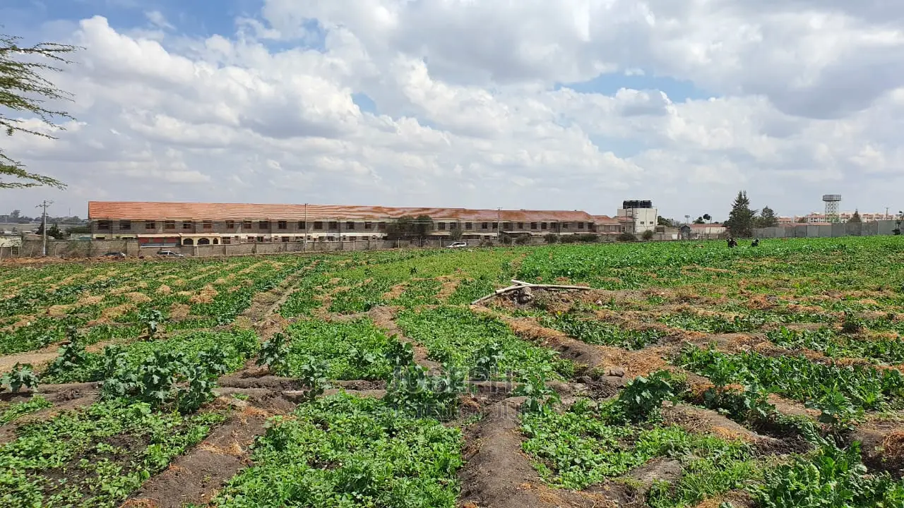 Athi River 10acre Near Graceland River Park Estates