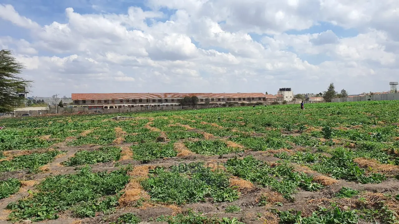 Athi River 10acre Near Graceland River Park Estates