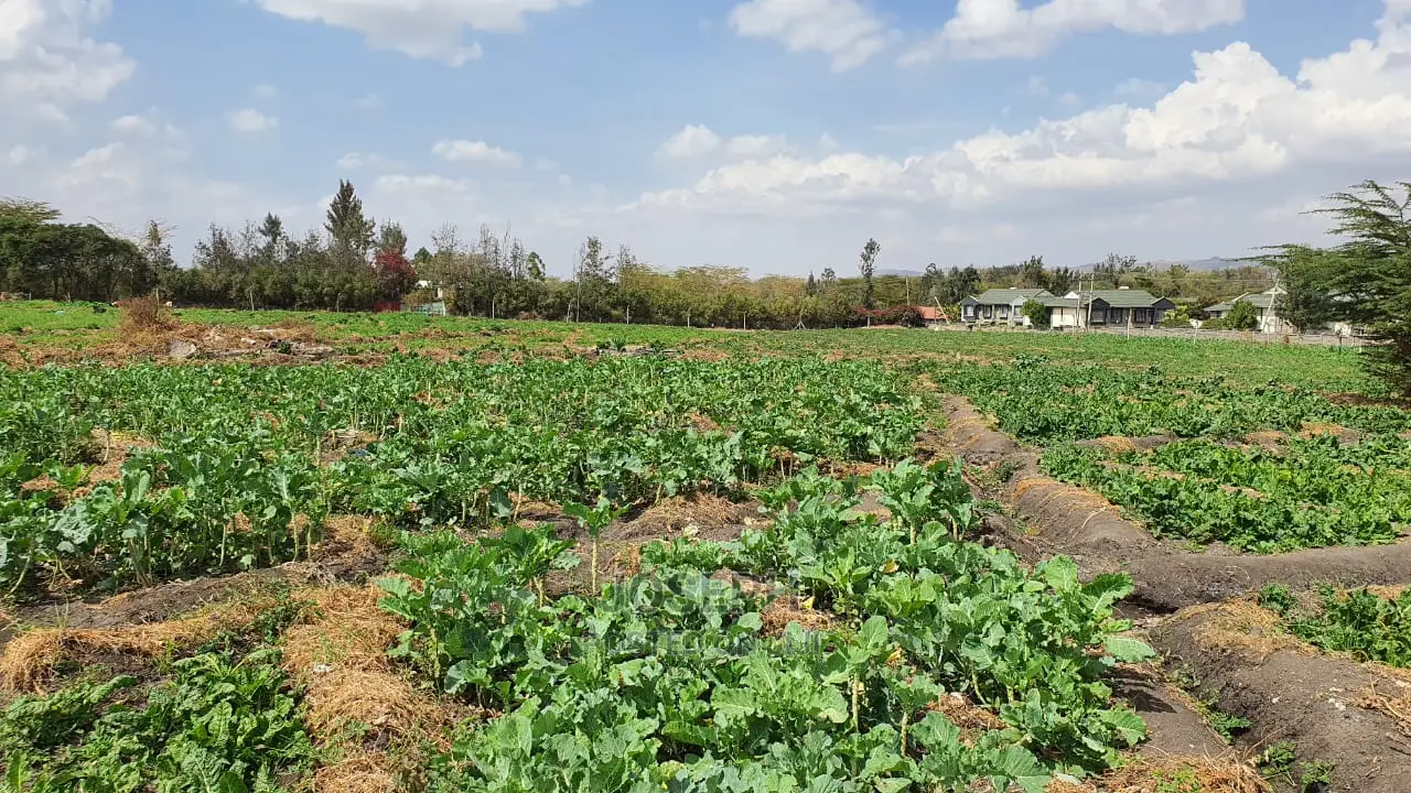 Athi River 10acre Near Graceland River Park Estates