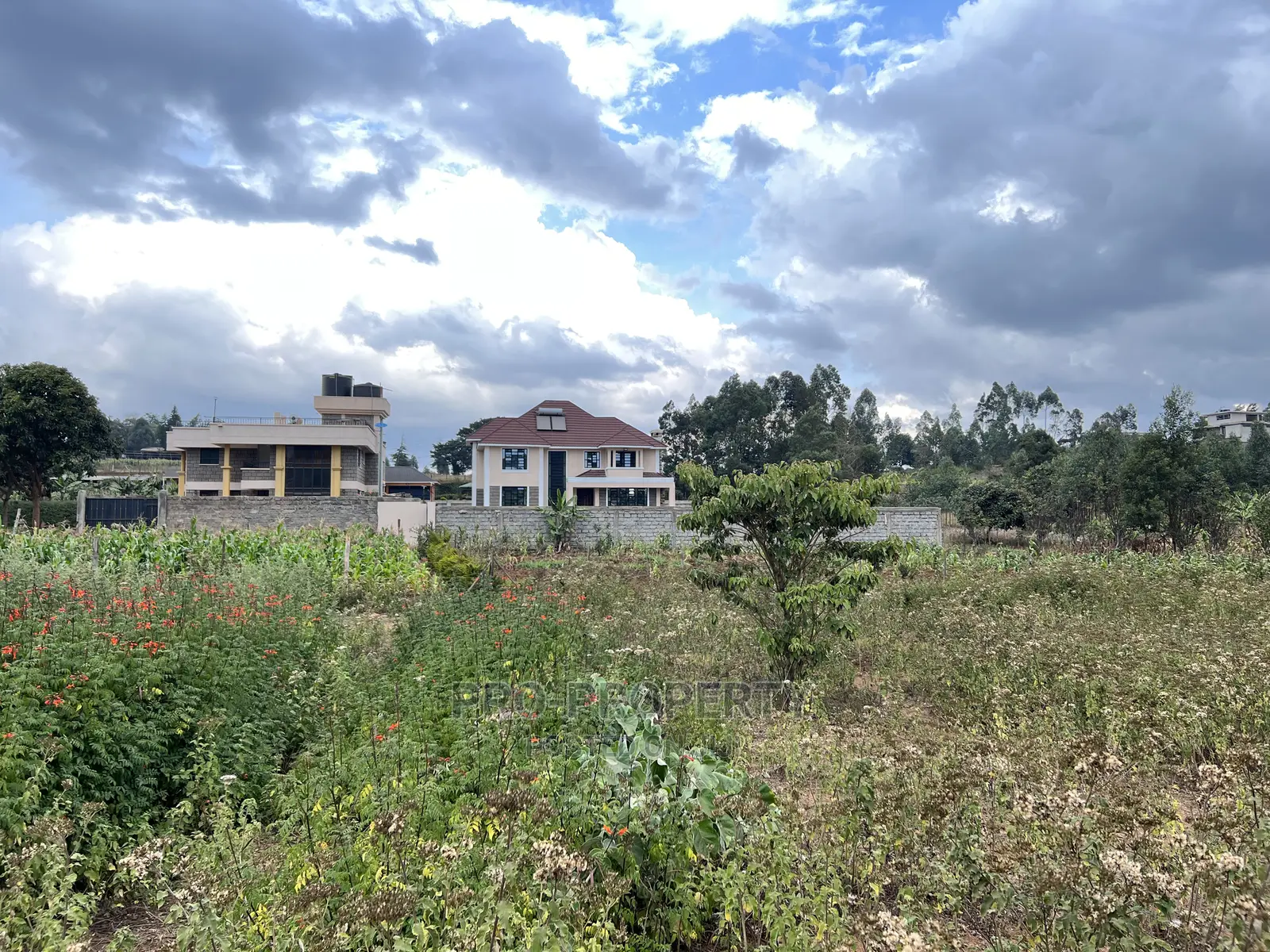 Prime 50x100ft in Gikambura Jambu Tv Road