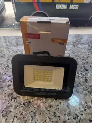 20 W Widsor Les Floodlight