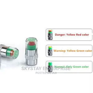 Tire Pressure Monitor Dust Cap Plug