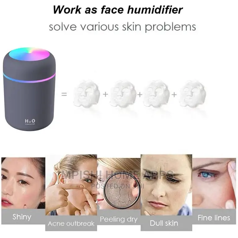 Portable Humidifier 300ml