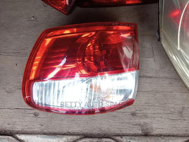 Ipsum Backlight