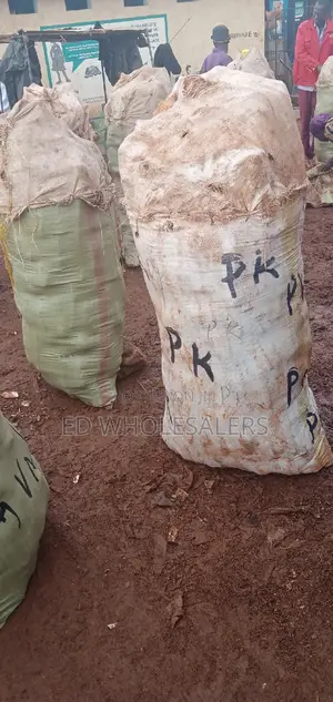 Raw Cassava Tuber Available