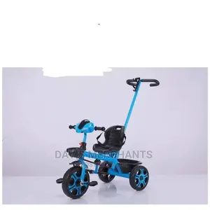 Smart Kid Tricycle