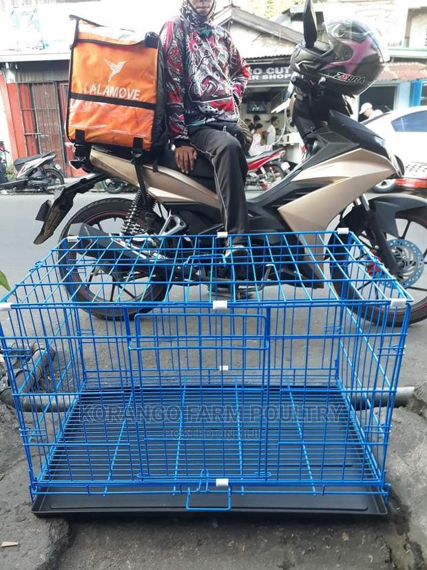 Pets Cages - main view