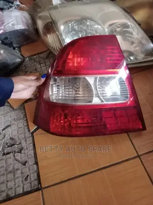 NZE 2002 Backlight