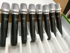 Wireless Microphone Bnk Bk8800