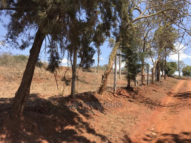 Fenced 2 Acre Land Mua Hills - thumbnail 4
