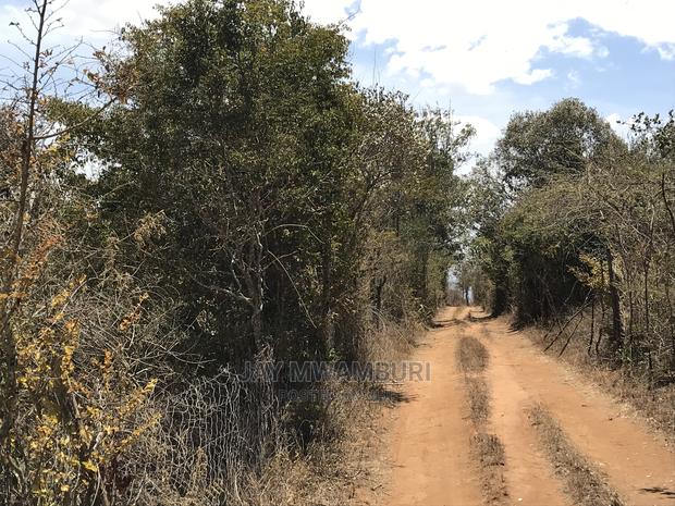 20 Acres Mua Hill - thumbnail 4