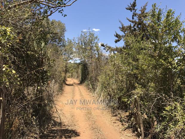 20 Acres Mua Hill - thumbnail 6