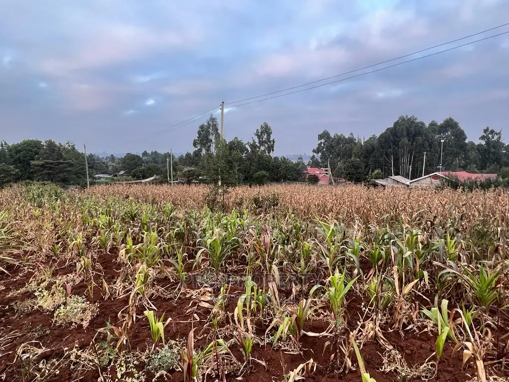 Prime Residential Plot for Sale in Kikuyu Kamangu (Migumoini