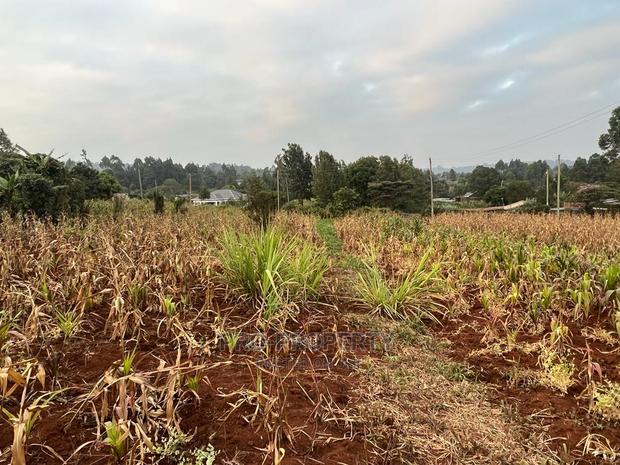 Prime Residential Plot for Sale in Kikuyu Kamangu (Migumoini - thumbnail 4