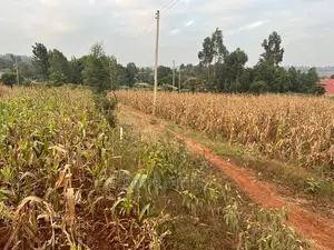 Prime Residential Plot for Sale in Kikuyu Kamangu (Migumoini
