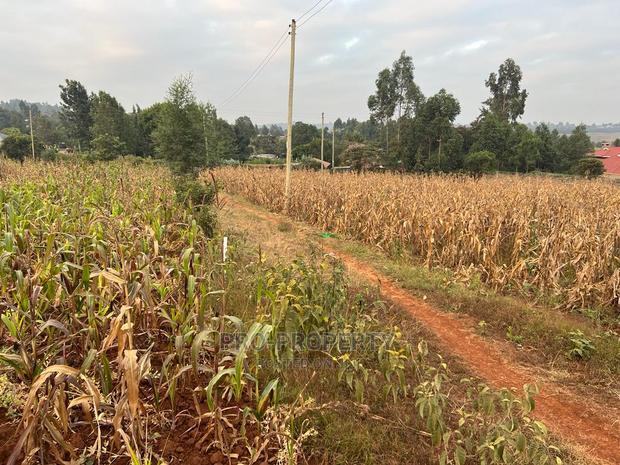 Prime Residential Plot for Sale in Kikuyu Kamangu (Migumoini - thumbnail 2