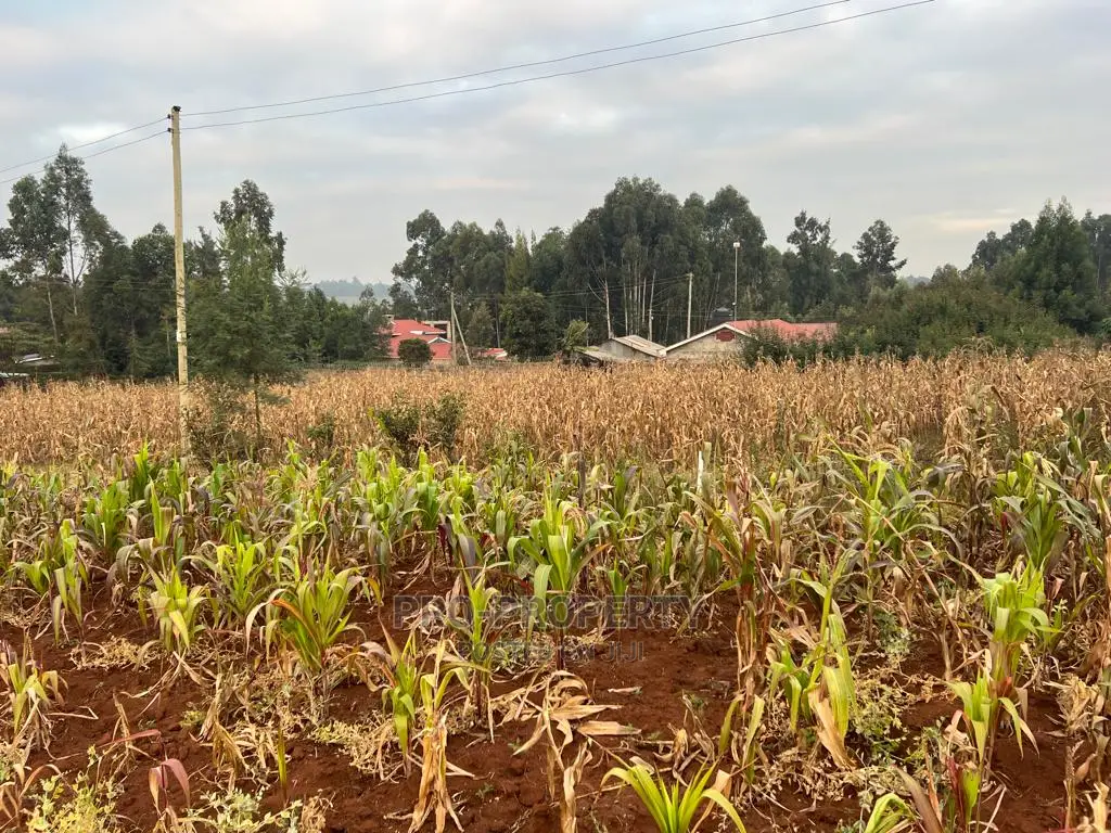 Prime Residential Plot for Sale in Kikuyu Kamangu (Migumoini