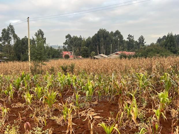 Prime Residential Plot for Sale in Kikuyu Kamangu (Migumoini - thumbnail 9