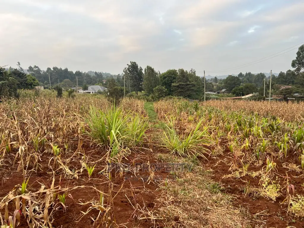 Prime Residential Plot for Sale in Kikuyu Kamangu (Migumoini