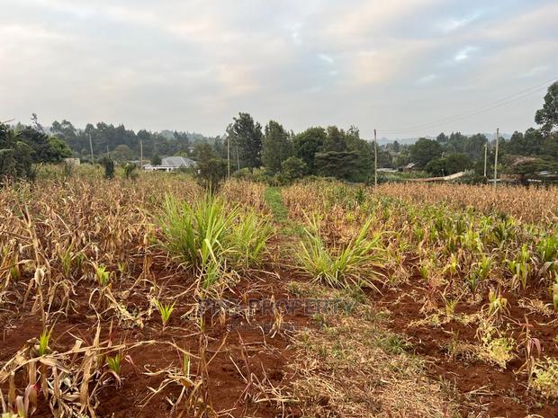 Prime Residential Plot for Sale in Kikuyu Kamangu (Migumoini - thumbnail 10