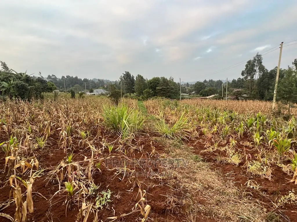 Prime Residential Plot for Sale in Kikuyu Kamangu (Migumoini