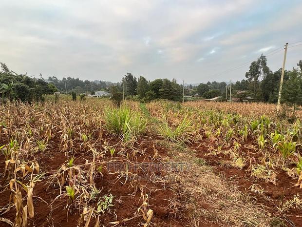 Prime Residential Plot for Sale in Kikuyu Kamangu (Migumoini - thumbnail 6
