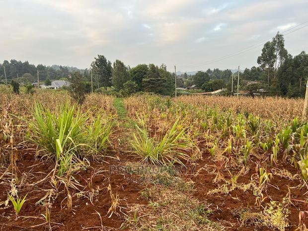 Prime Residential Plot for Sale in Kikuyu Kamangu (Migumoini - thumbnail 7