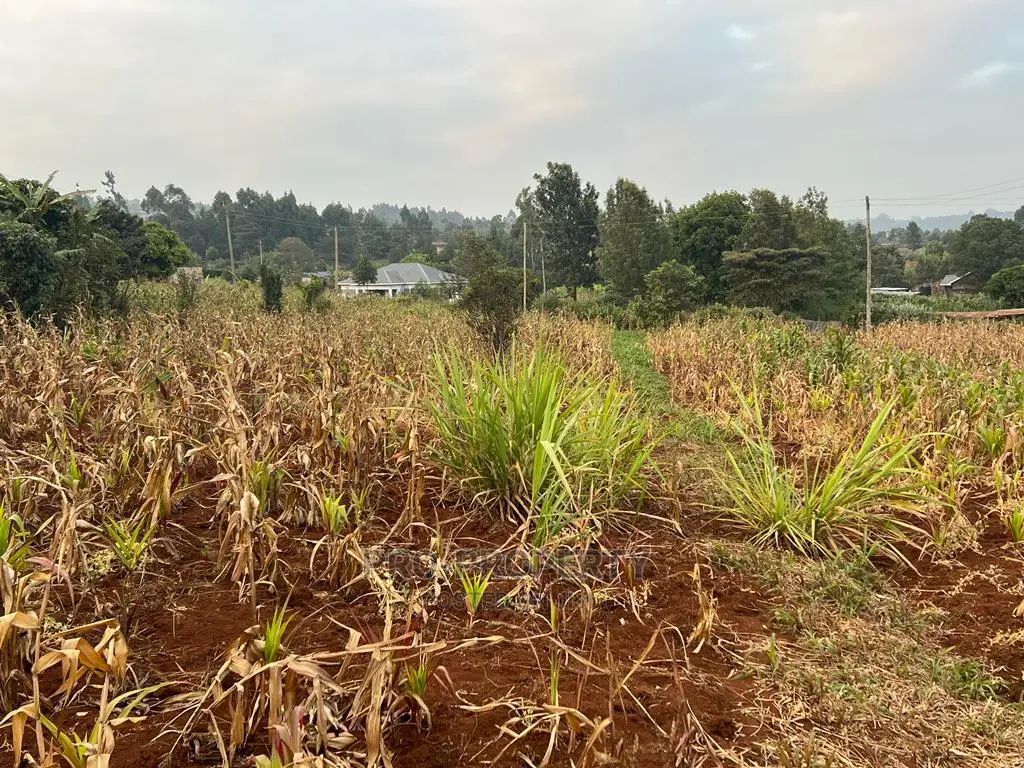 Prime Residential Plot for Sale in Kikuyu Kamangu (Migumoini
