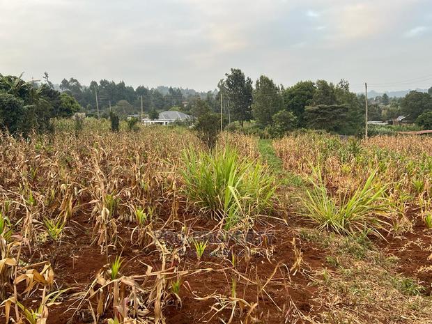 Prime Residential Plot for Sale in Kikuyu Kamangu (Migumoini - main view