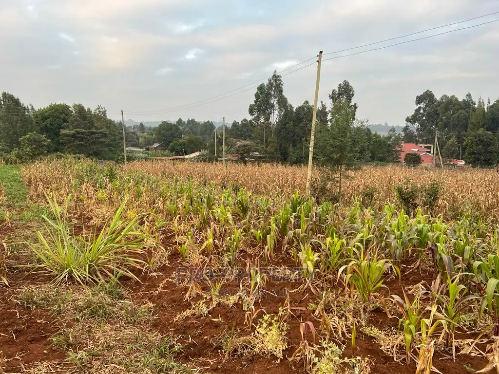 Prime Residential Plot for Sale in Kikuyu Kamangu (Migumoini