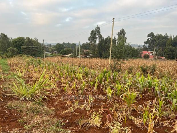 Prime Residential Plot for Sale in Kikuyu Kamangu (Migumoini - thumbnail 8