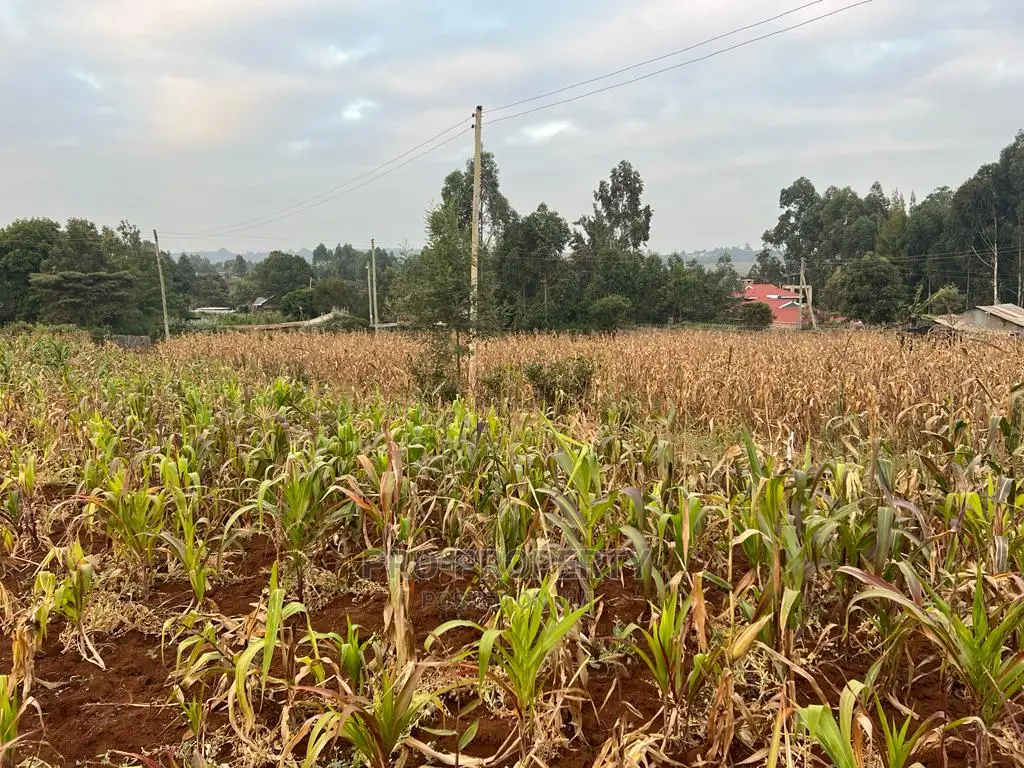 Prime Residential Plot for Sale in Kikuyu Kamangu (Migumoini