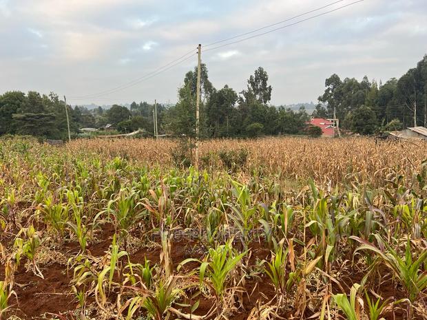 Prime Residential Plot for Sale in Kikuyu Kamangu (Migumoini - thumbnail 12