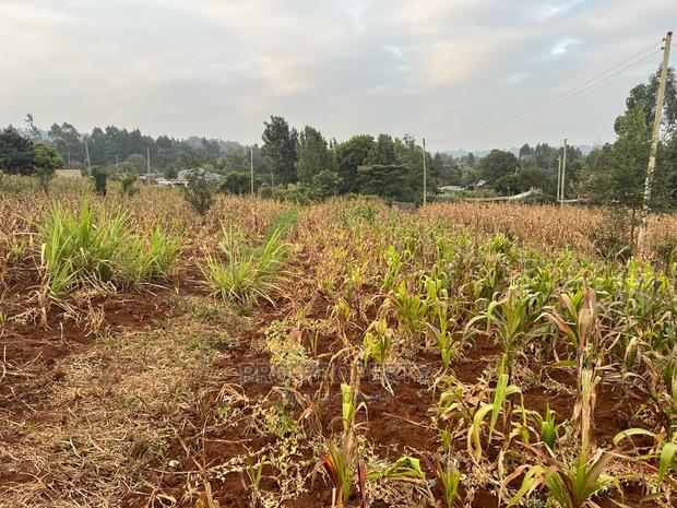 Prime Residential Plot for Sale in Kikuyu Kamangu (Migumoini - thumbnail 13
