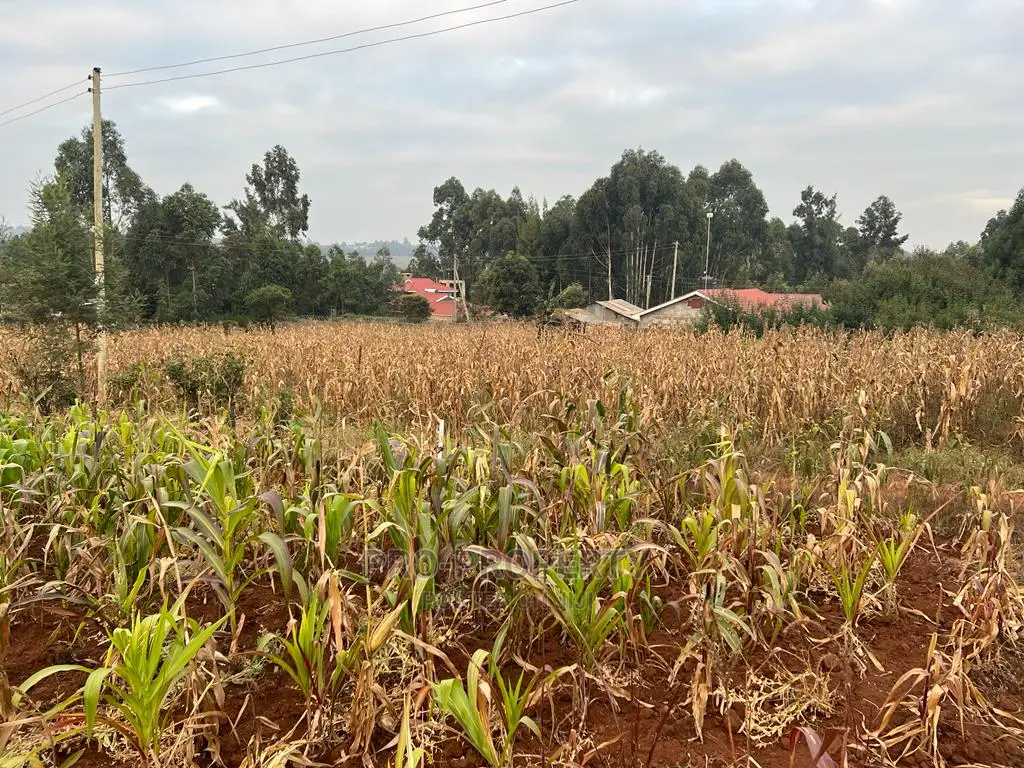 Prime Residential Plot for Sale in Kikuyu Kamangu (Migumoini