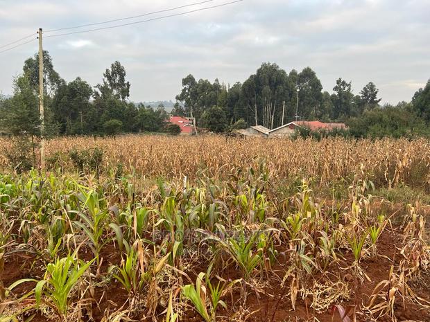 Prime Residential Plot for Sale in Kikuyu Kamangu (Migumoini - thumbnail 14