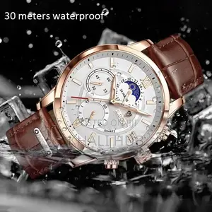 Lige Chronograph Watch