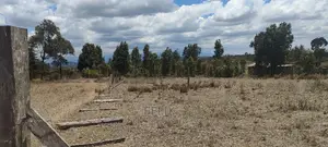 Chaka/Kalicheni Prime Plots