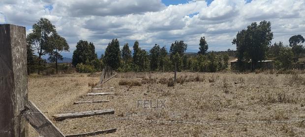 Chaka/Kalicheni Prime Plots - main view