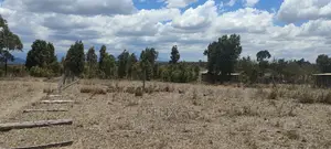 Chaka/Kalicheni Prime Plots