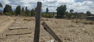 Chaka/Kalicheni Prime Plots